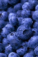 Blueberries