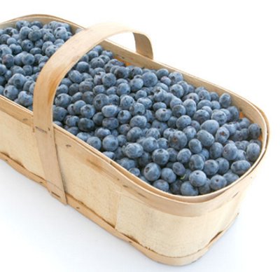 basket of blueberries